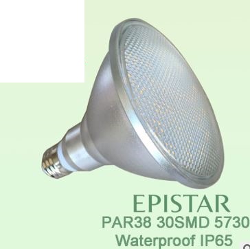 (image for) E27 PAR38 LED lights bulbs,15 watt witerproof IP65