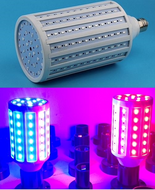 (image for) 80W colorful plan grow home accents Holiday jaundice led light