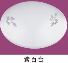 (image for) 12 Watt 9" circular LED Flush mounts ceiling lamp fixture