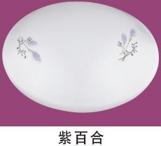 (image for) 24 watt 14" Circular LED Flush mounts ceiling lamp