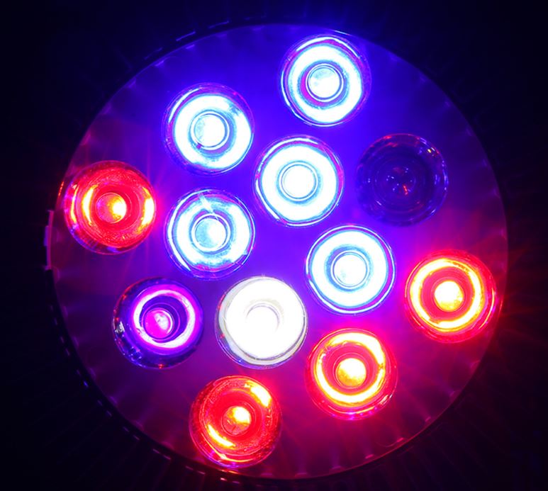 (image for) PAR38 LED grow light spotlight for Indoor Plants and outdoor Gardening, LED full light spectrum plant grow lights - Click Image to Close