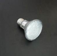 (image for) PAR20, E27, 48 LEDs cool white floodlights, 120VAC - Click Image to Close
