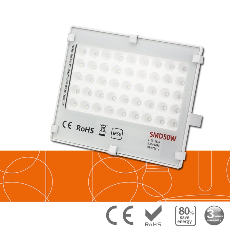 (image for) 50 Watt outdoor landscape LED floodlights, AC85~265V - Click Image to Close