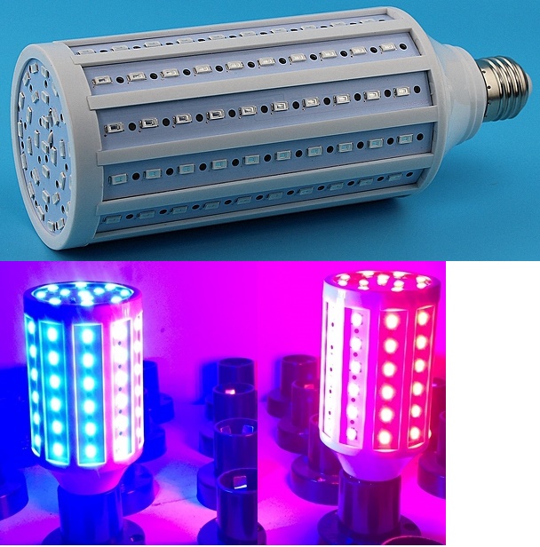(image for) 40W colorful plan grow home accents Holiday jaundice led light