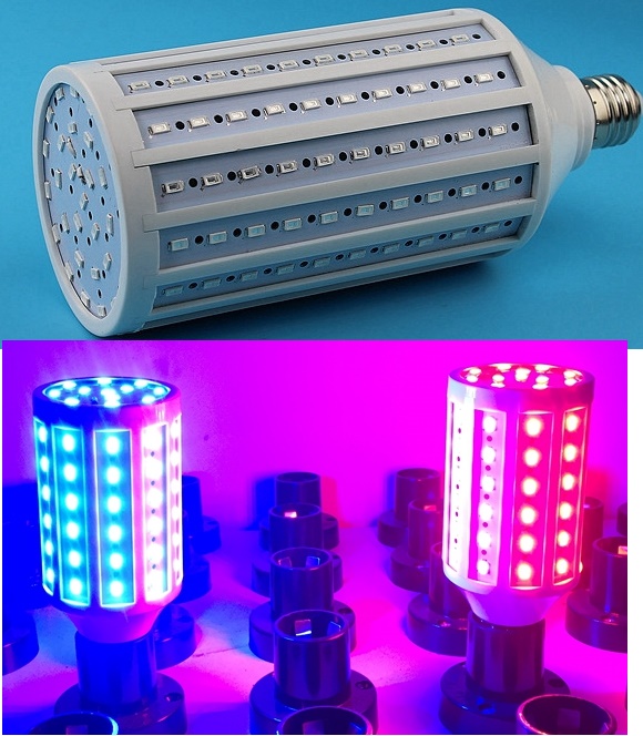(image for) 60W colorful plan grow home accents Holiday jaundice led light - Click Image to Close
