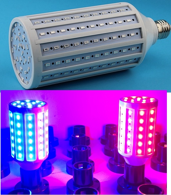 (image for) 60W colorful plan grow home accents Holiday jaundice led light