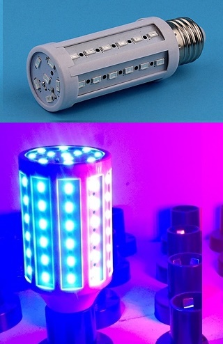 10W blue color plan grow home accents Holiday jaundice led light