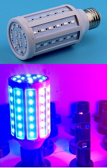15W blue color plan grow home accents Holiday jaundice led light