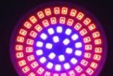 (image for) 3W LED plant grow Lights, LED grow light spotlight for Indoor Plants