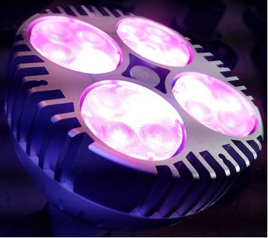(image for) PAR30, E27, 35 watt LED plant grow Lights, LED grow light spotlight for Indoor Plants and outdoor Gardening - Click Image to Close